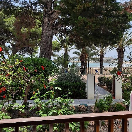 Apartamento Frente Al Mar Alcossebre المظهر الخارجي الصورة